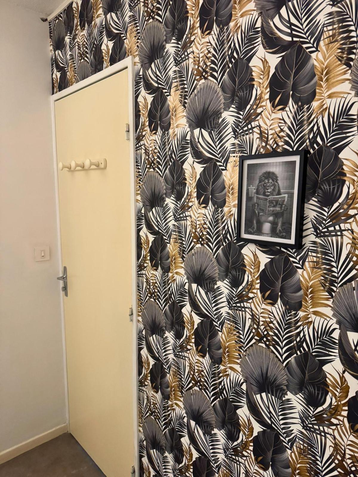 Majestic - Wifi - Parking - Vue Apartment Dax Ngoại thất bức ảnh
